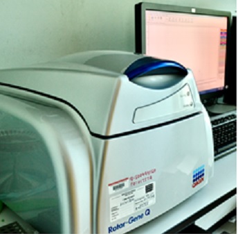 Rotor-Gene Q for Real-Time Quantitative PCR